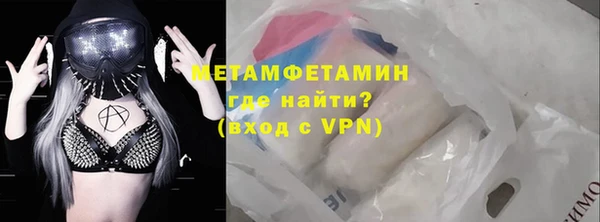 прущие грибы Надым
