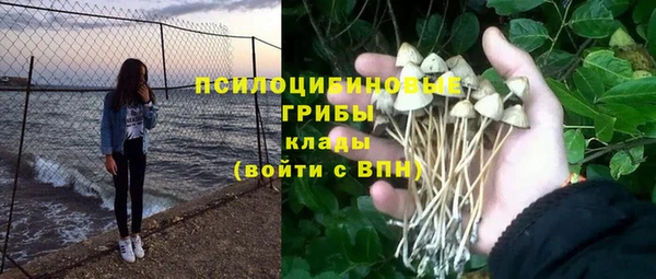 каннабис Баксан
