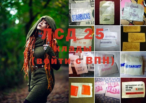 гидропоника Балабаново