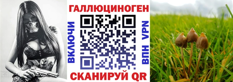 omg зеркало  Няндома  Галлюциногенные грибы GOLDEN TEACHER 